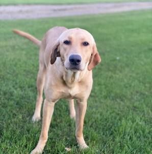 Meet your Posher, Ethan